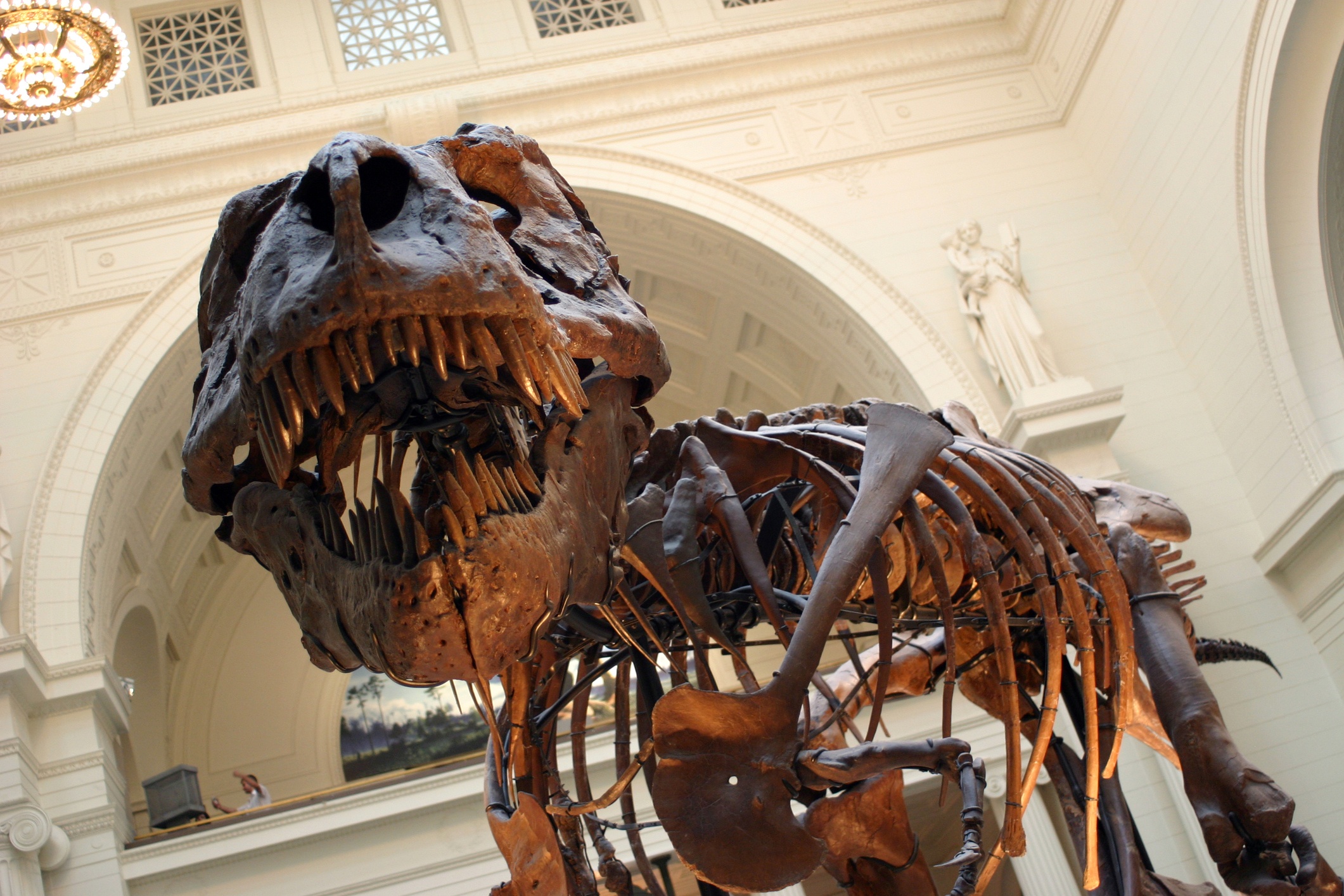 NewYork_history_2.jpg - School Trips to&nbsp;Chicago